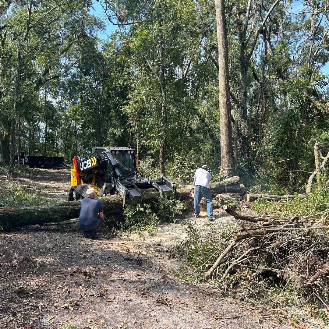 live oak, fl relief -aug.jpg